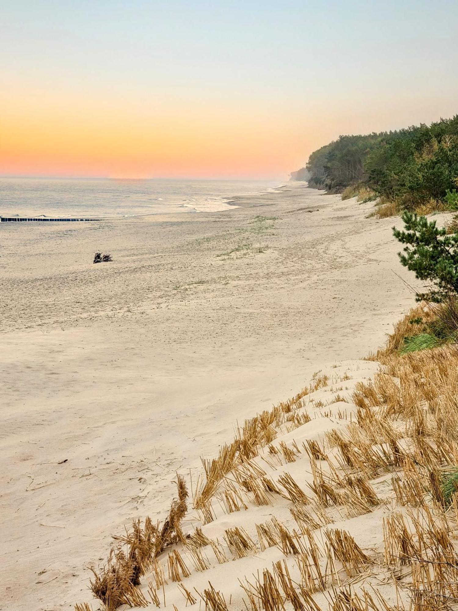 Deluxe Suite, 150 Meters To Beach, Baltic Best Dziwnówek Eksteriør bilde